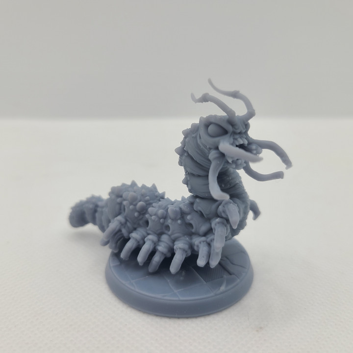 3d Print Of Carrion Bug Giant Centipede Cave Crawler Insect