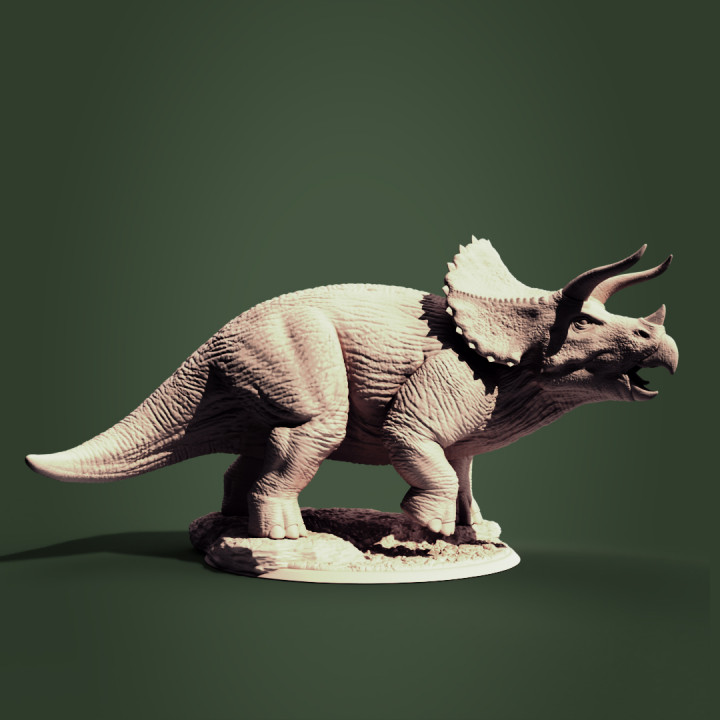 Triceratops image