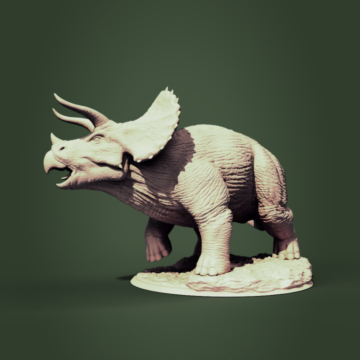 Triceratops image