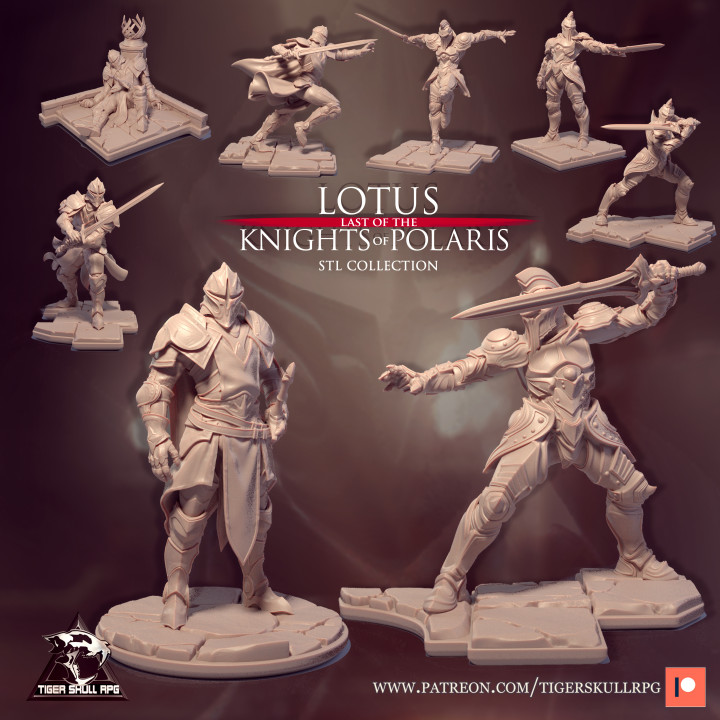 Knights of Polaris Collection image
