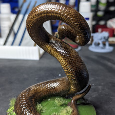 Picture of print of Snake