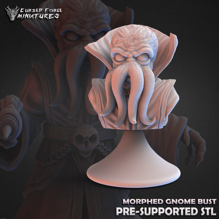 Morphed gnome bust (supported) image
