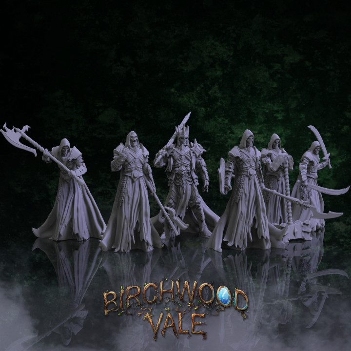 Birchwood Vale Adversaries Lich King and Wights's Cover