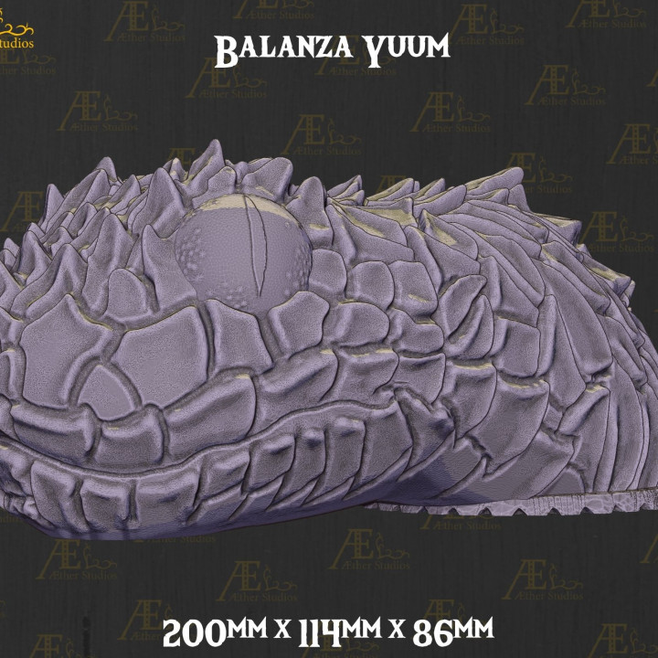AEAGOD08 - Balanza Yuum image