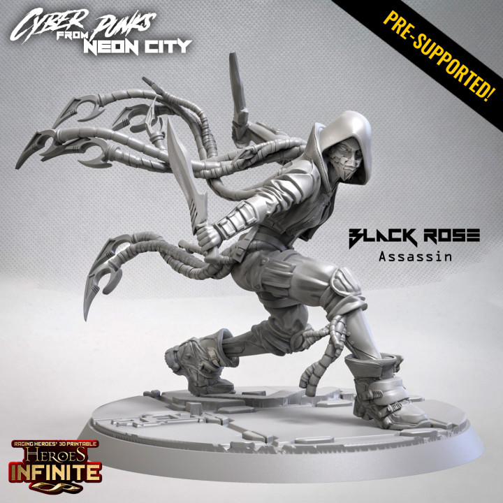 Black Rose, Assassin (Cyberpunk) image