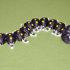 Picture of print of CUTE FLEXI PRINT-IN-PLACE Caterpillar
