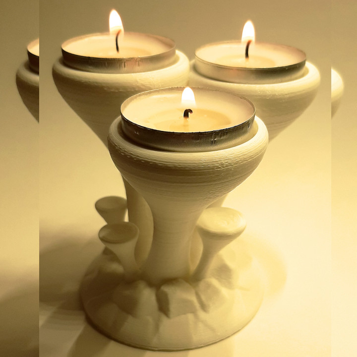 Candlestick Mushrooms image