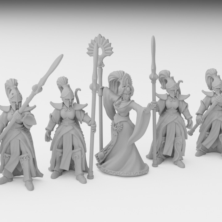 Elven Queen and her Bodyguard miniatures (modular) image