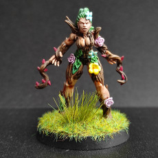Picture of print of Dryads Bundle