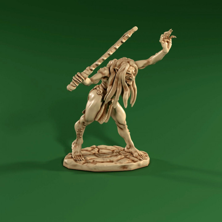 Classic Style Troll Hag with Sword image