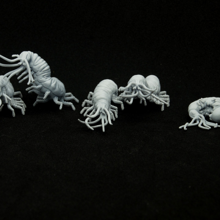 Classic Carrion Crawler (5 models) image