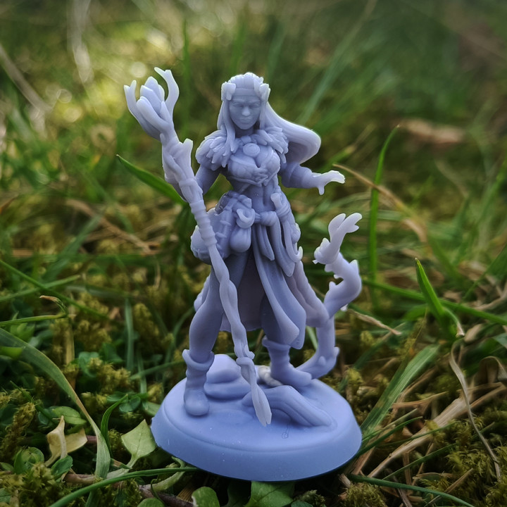 Triss - Druid Female image