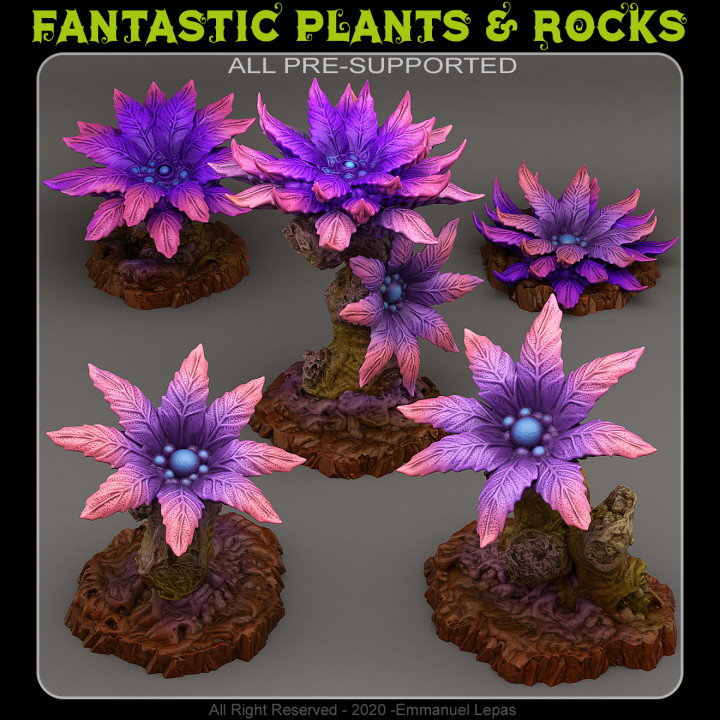 PANDORA'S FLOWERS image