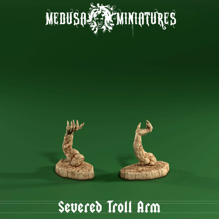 Severed Troll Arm...attacking!! image