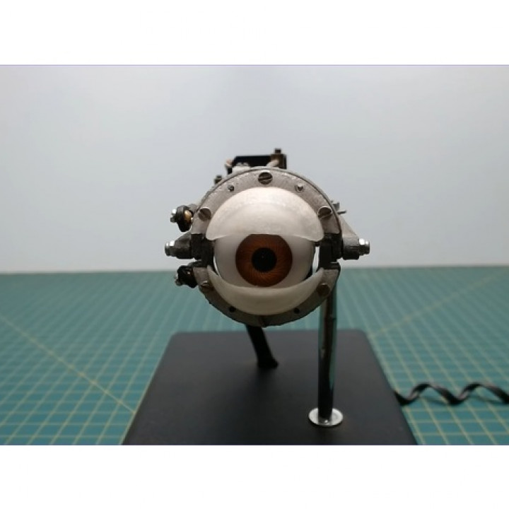 Human-sized animatronic eye! image