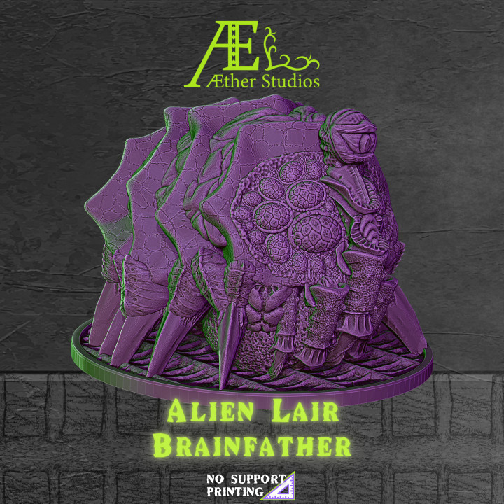 AELAIR09 - Brainfather image