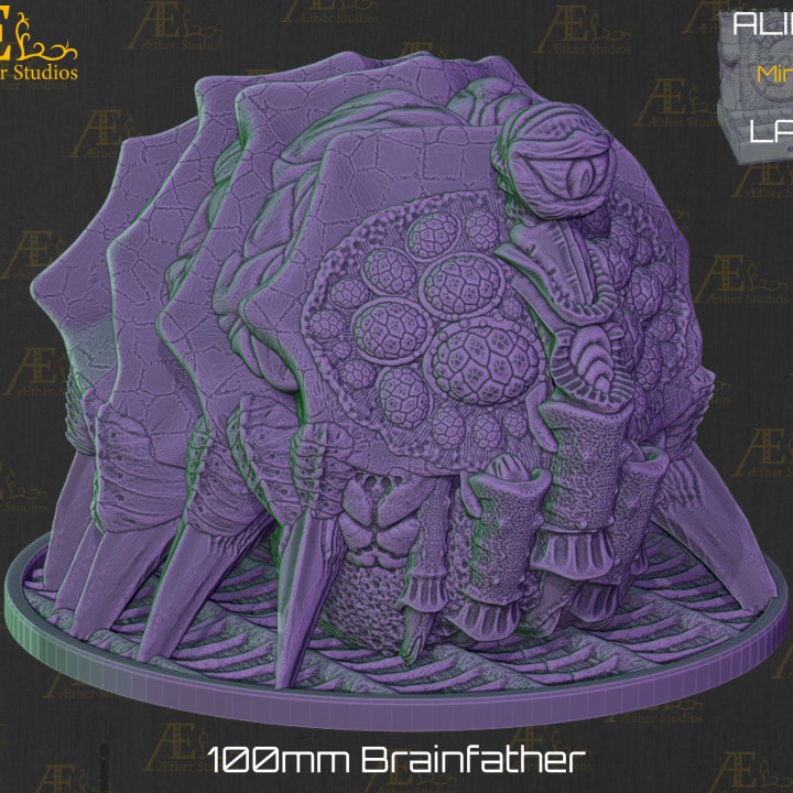 AELAIR09 - Brainfather image