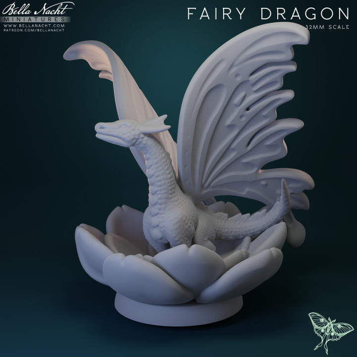 Fairy Dragon image