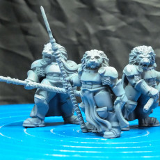 Picture of print of Lion Knights (pre supported)