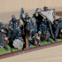 Varyag Warriors - Highlands Miniatures print image