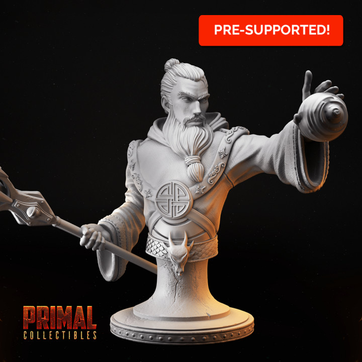 Wizard - Erius Lumos Bust - MASTERS OF DUNGEONS QUEST image