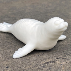 Picture of print of Seal