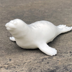 Picture of print of Seal