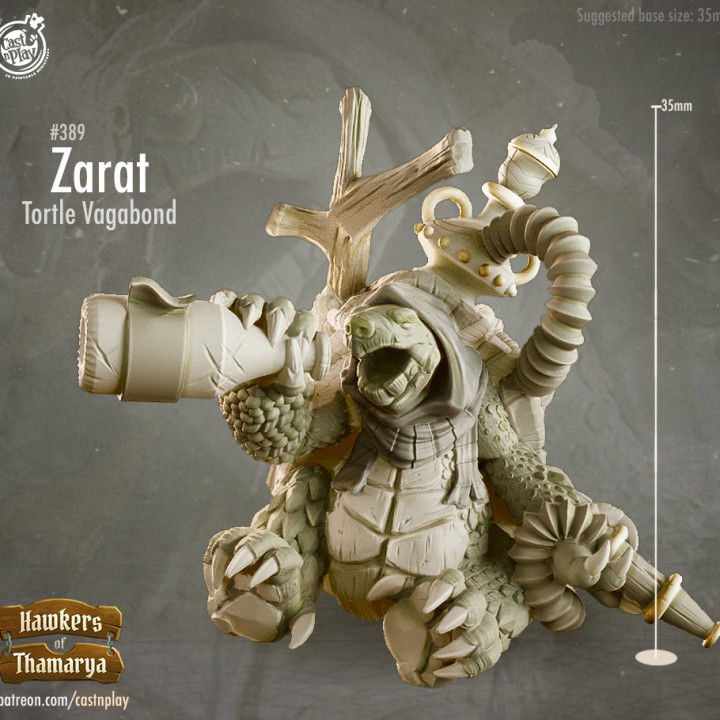 Zarat, Tortle Vagabond (Pre-Supported) image