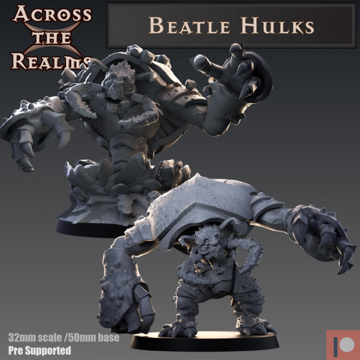 Beatle Hulks image