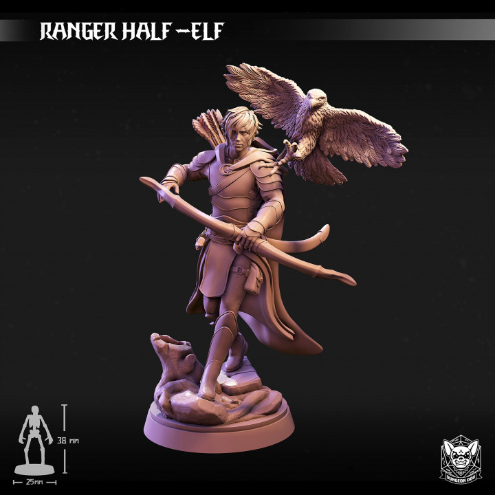 Ranger Half -Elf image