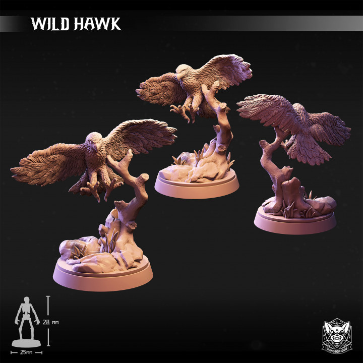 Wild Hawk image