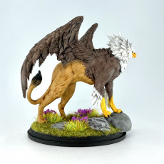 Picture of print of Hippogriff (pre-supported)