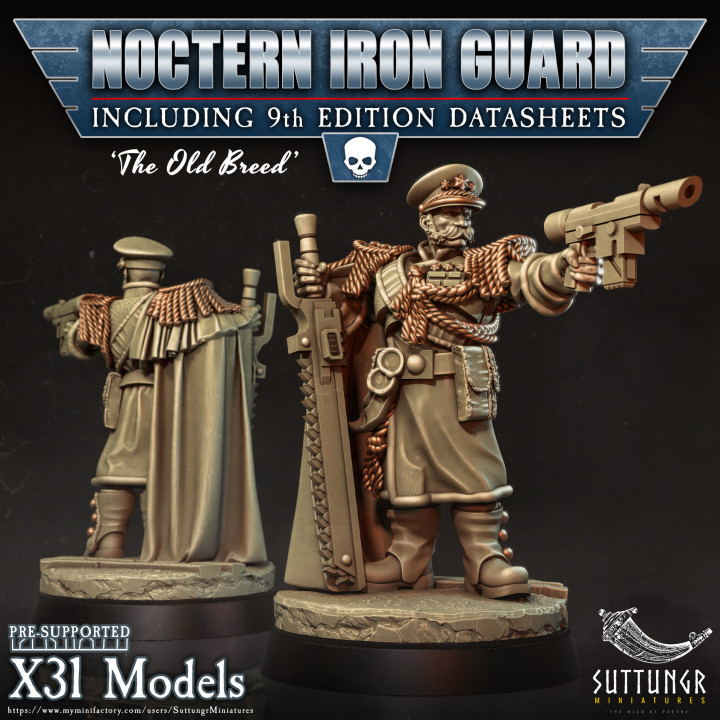 x37 - Noctern Iron Guard - Pre-Supported image