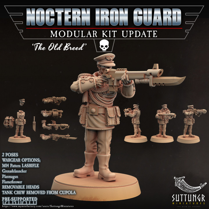 x37 - Noctern Iron Guard - Pre-Supported image