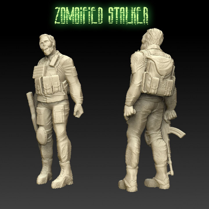 3D Printable Zombified Stalker by FComin