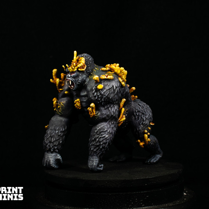 Infected Gorilla - The Outbreak Collection image