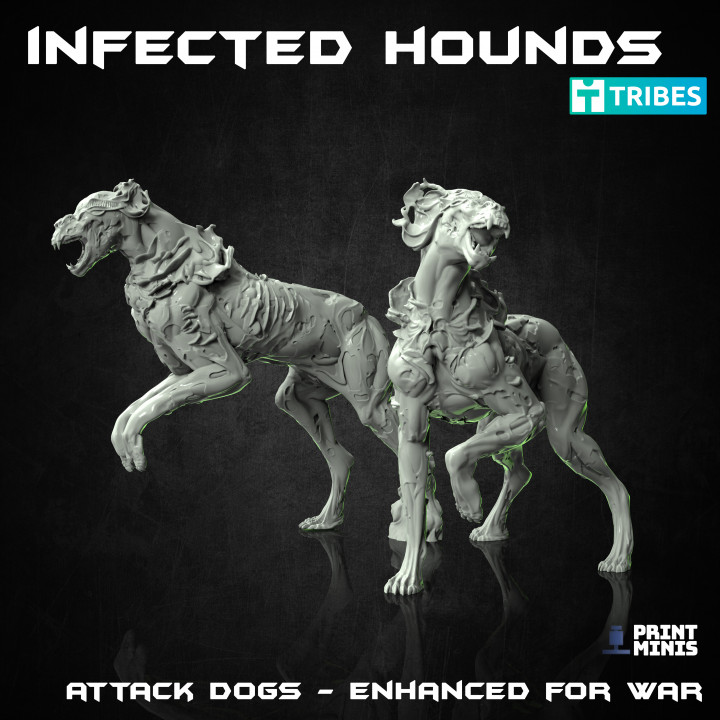 Infected Hounds - The Outbreak Collection image