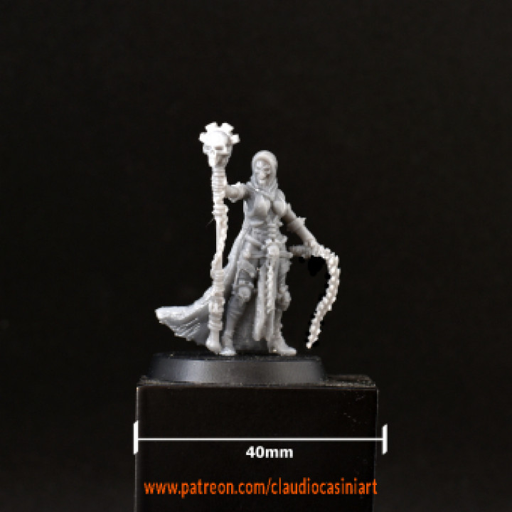 (0026) Female undead human elf tiefling tamer sorceress with whisk image