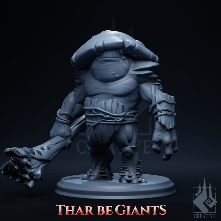 Toadstool Titan image