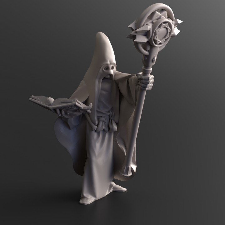 Cultist High Priest - PRE-SUPPORTED image