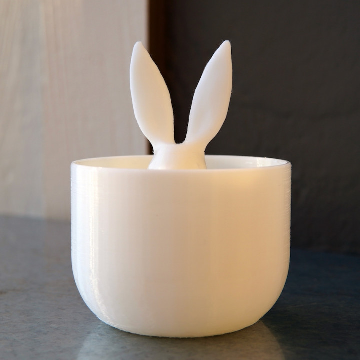 Rabbit Q-tip holder image