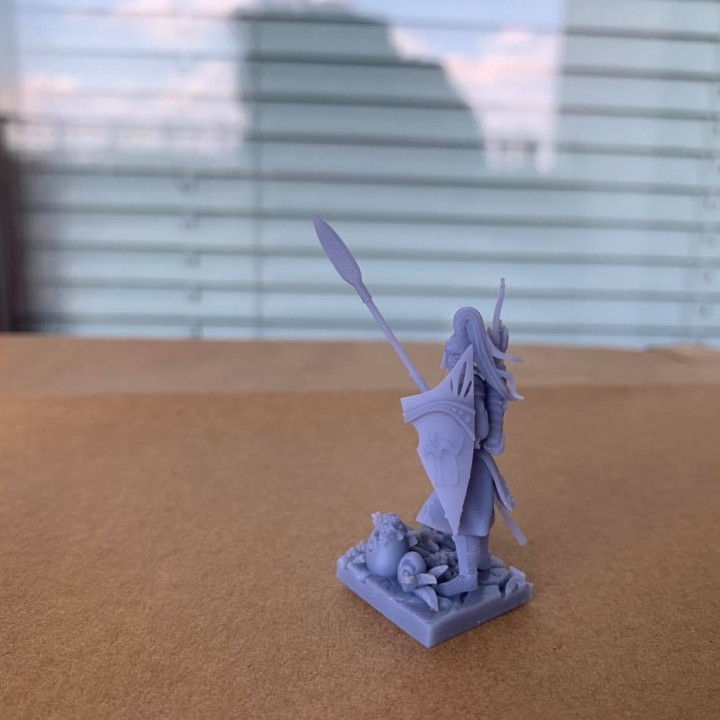 High elves citizen spears and sea guard unit image