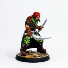 Picture of print of Pirate Brigand [Pre-Supported]