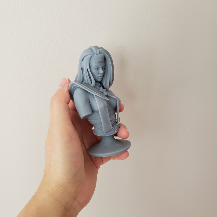 Silent Sister Mary Bust image