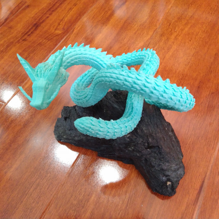 Torus knot dragon image