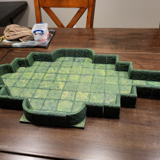 Picture of print of AEHDGE0 - Hedge Maze Starter Set