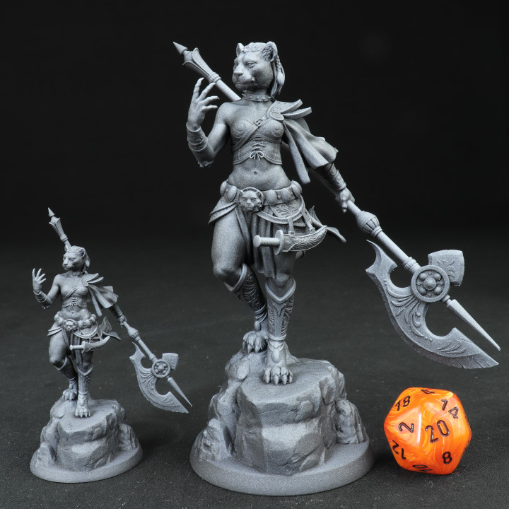 Auria tabaxi female 75mm and 32mm pre-supported image