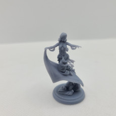 Picture of print of Laila 75mm and 32mm pre-supported