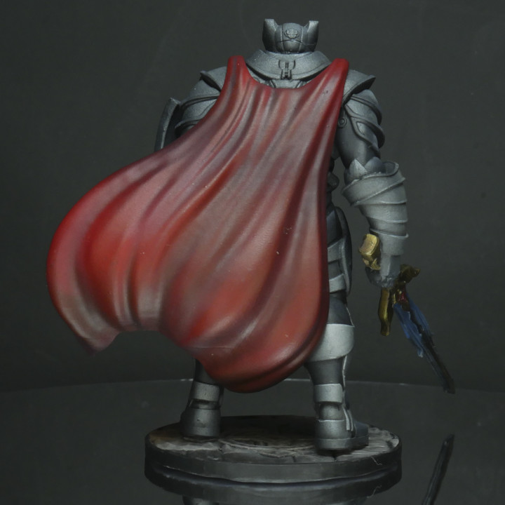 Void Knight Ready Pose (Display Model) image