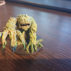Picture of print of Shambling Mound Updated